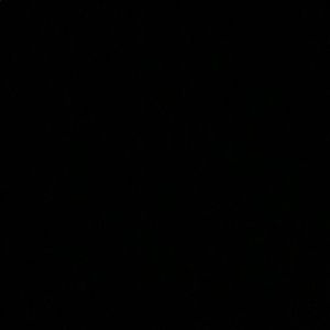 Meet your Posher, Daelyn